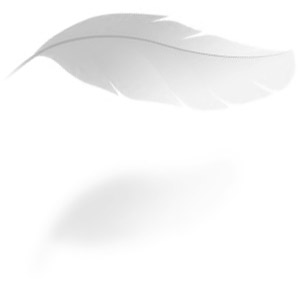 Feather